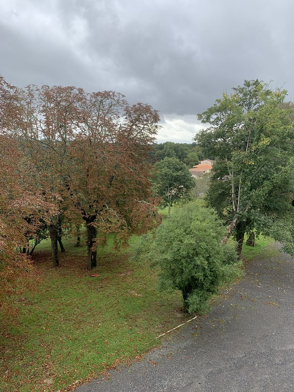 BOUILIAC Avenue De La Belle Etoile APPARTEMENT T 01 BIS C 10 de 48.14 m2  tout compris