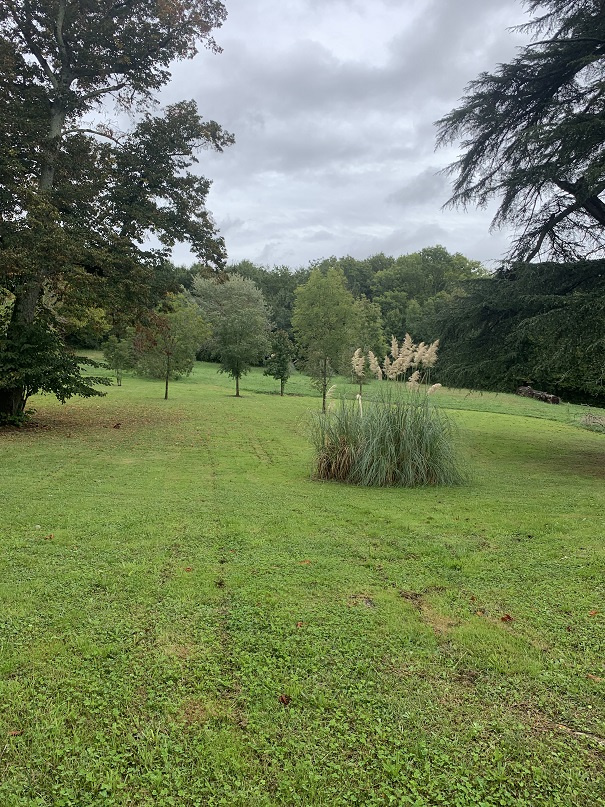 BOULIAC CHATEAU LE PIAN MAISON T 03 DUPLEX D 24